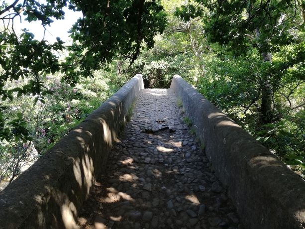 Imagen general del Hostel Puerto Algeciras. Foto 8