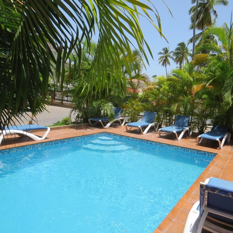 Imagen de la piscina del Hostel Punta Cana. Foto 3