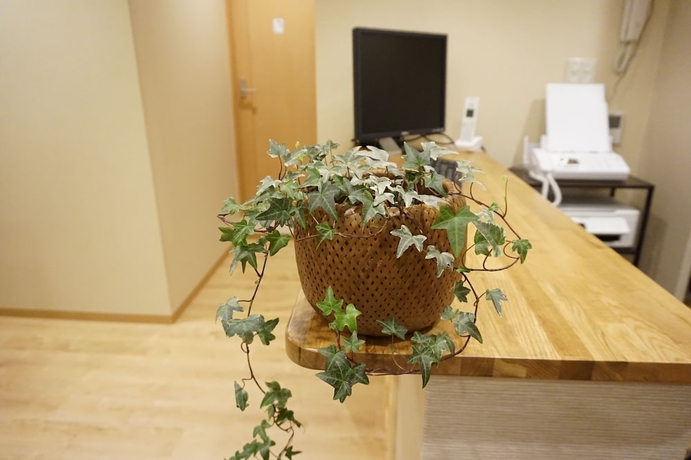 Imagen de los interiores del Hostel Rakutsuki. Foto 10