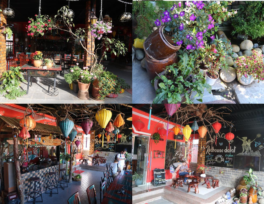 Imagen general del Hostel Redhouse Backpacker. Foto 4