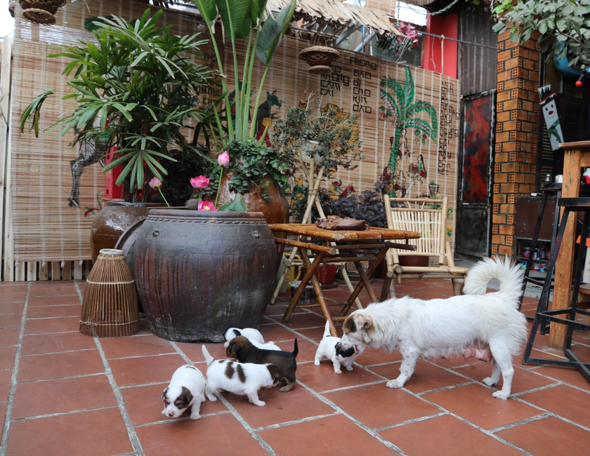 Imagen general del Hostel Redhouse Backpacker. Foto 10