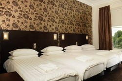Imagen general del Hostel Revolver Edinburgh. Foto 1