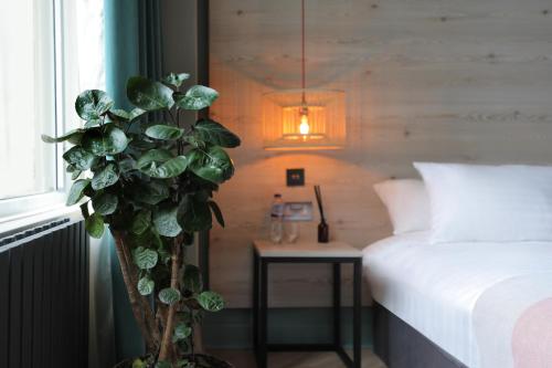 Imagen de la habitación del Hostel Revolver. Foto 12