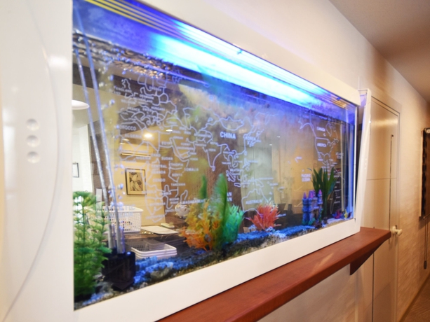Imagen de los interiores del Hostel River Forest -. Foto 19
