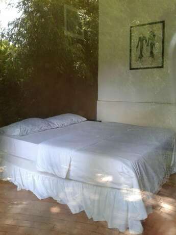 Imagen general del Hostel Rosebank. Foto 5