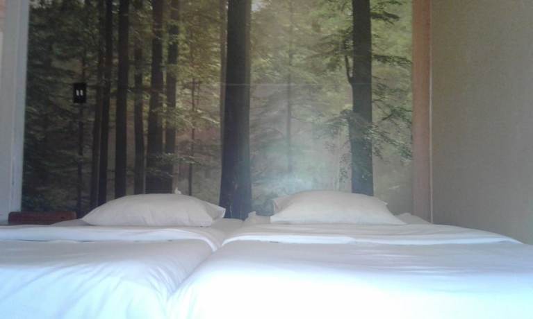 Imagen de la habitación del Hostel Rosebank Lodge and Backpacker. Foto 10