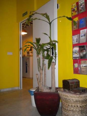 Imagen general del Hostel Samay Sevilla. Foto 2