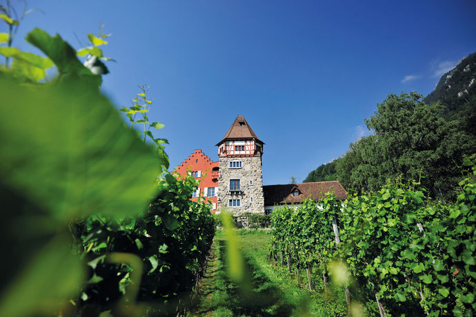 Imagen de los exteriores del Hostel Schaan-vaduz Youth. Foto 13