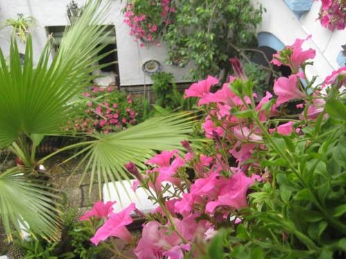 Imagen general del Hostel S&eacute;neca, C&oacute;rdoba. Foto 8