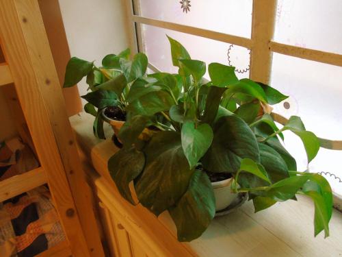 Imagen general del Hostel Sofitel Youth. Foto 8