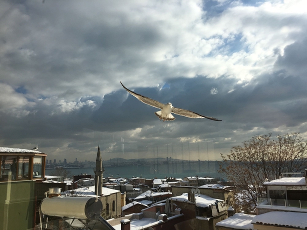 Imagen de los interiores del Hostel Stanpoli. Foto 15