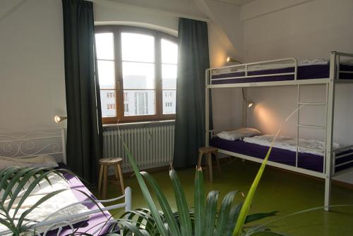 Imagen general del Hostel Steffis Heidelberg. Foto 1