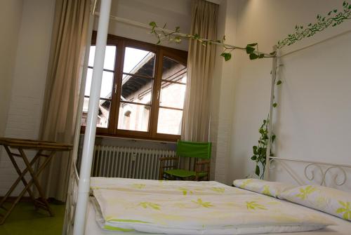 Imagen de la habitación del Hostel Steffis Heidelberg. Foto 8