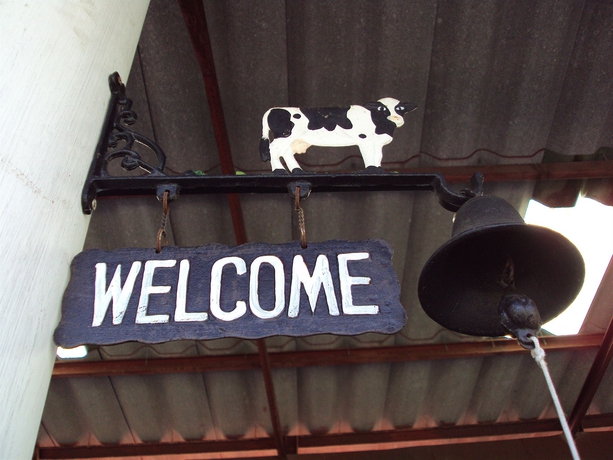 Imagen de los interiores del Hostel Steve Boutique. Foto 13