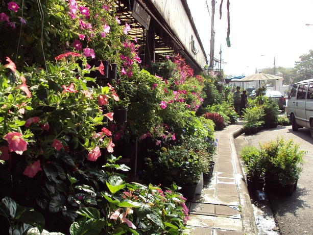 Imagen de los exteriores del Hostel Steve Boutique. Foto 11