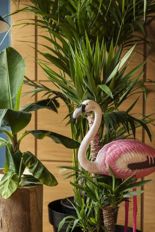 Imagen de los interiores del Hostel Student. Foto 18