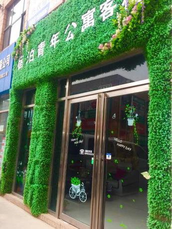 Imagen general del Hostel Subo Youth. Foto 4