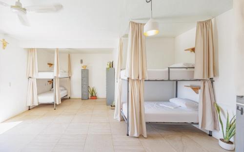 Imagen general del Hostel Surfnest. Foto 4