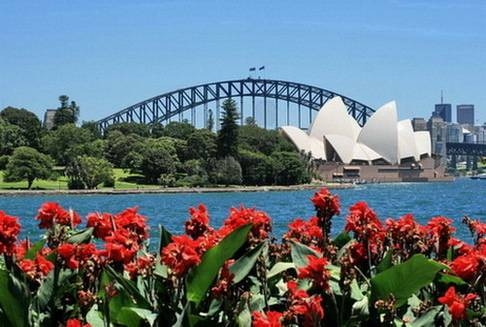 Imagen general del Hostel Sydney City. Foto 8
