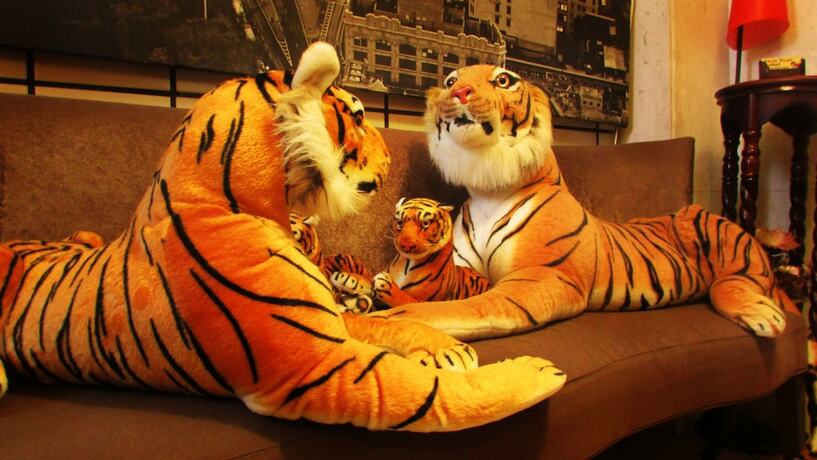 Imagen general del Hostel Taipei Triple Tiger. Foto 1