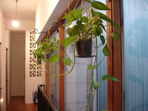 Imagen de los interiores del Hostel The Bodhi Lodge -. Foto 7