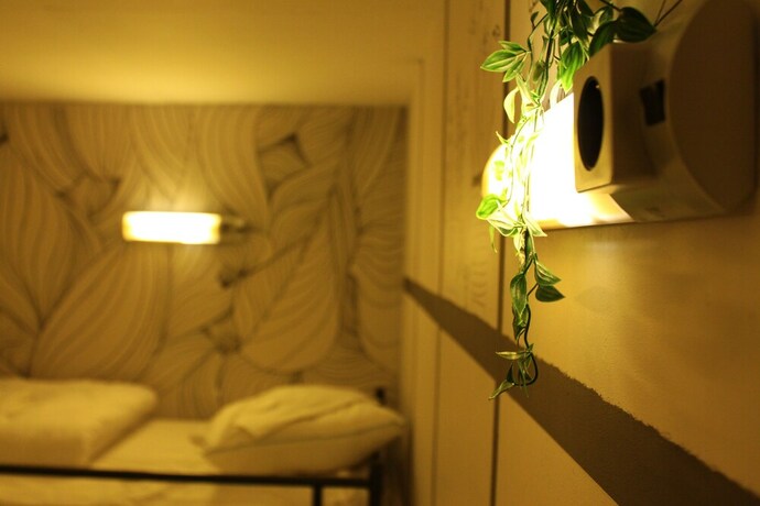 Imagen de la habitación del Hostel The Golden Stork -. Foto 36