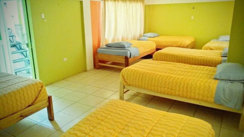 Imagen de la habitación del Hostel The Grasshopper. Foto 15