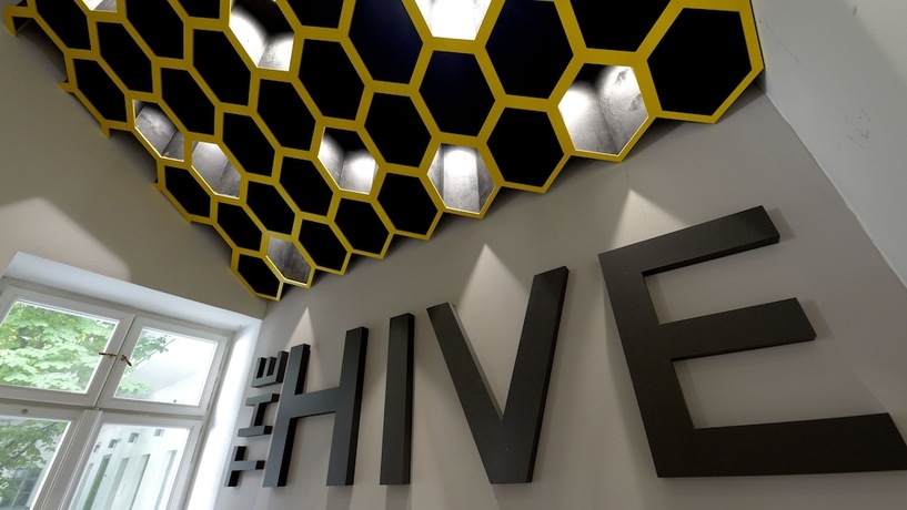 Imagen general del Hostel The Hive Party. Foto 3