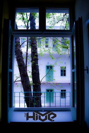 Imagen general del Hostel The Hive Party. Foto 6