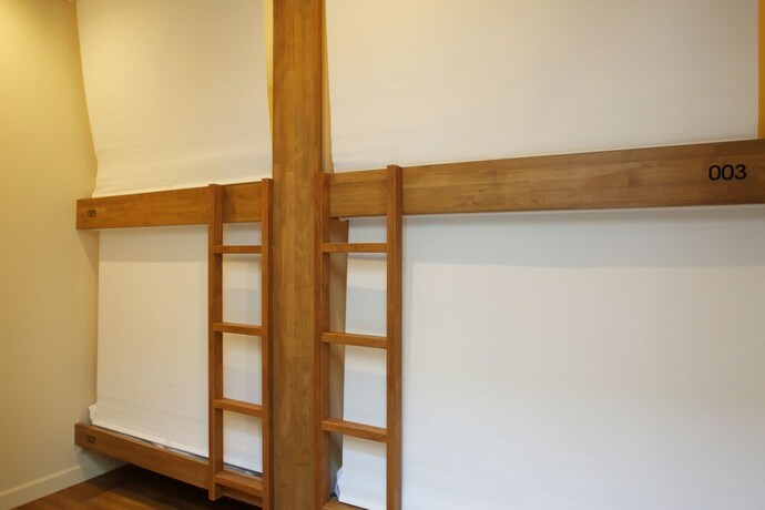 Imagen de la habitación del Hostel The Lower East Nine. Foto 12