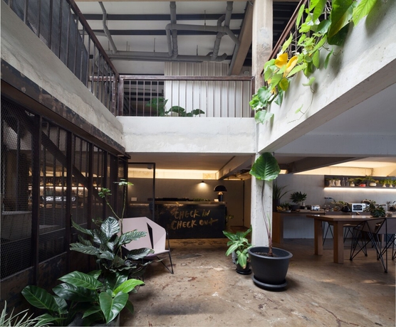 Imagen de los interiores del Hostel Thunder Bird. Foto 15
