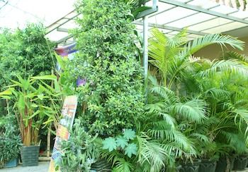 Imagen general del Hostel Tom & Jerry. Foto 2