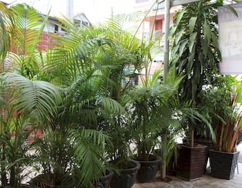 Imagen general del Hostel Tom & Jerry. Foto 3