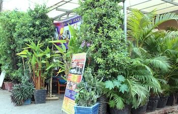 Imagen general del Hostel Tom & Jerry. Foto 4