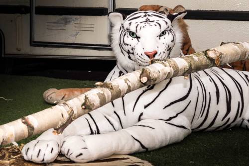 Imagen de la habitación del Hostel Treck. Foto 13