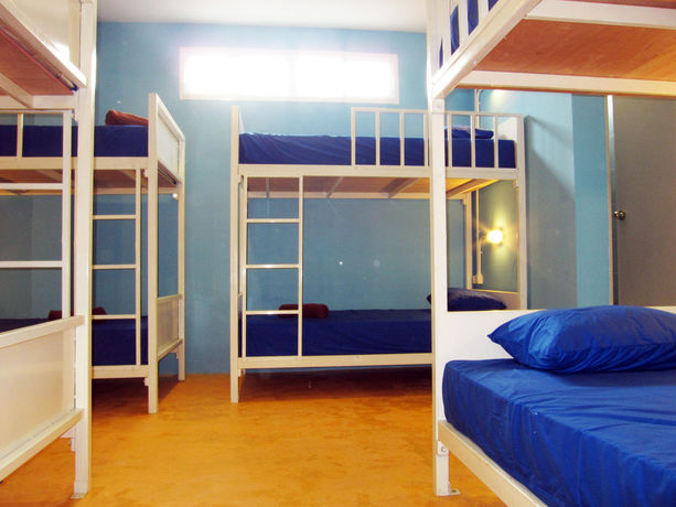 Imagen de la habitación del Hostel Treechart. Foto 6