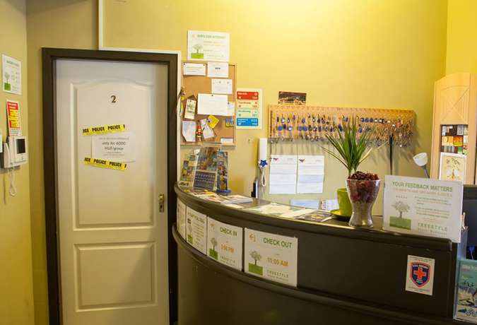 Imagen de los interiores del Hostel Treestyle. Foto 20