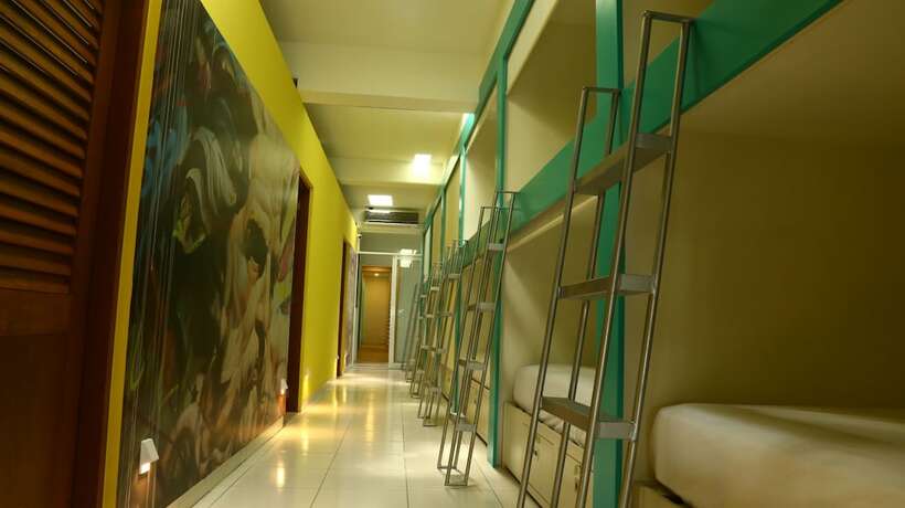 Imagen de la habitación del Hostel Tropico 20&ordm; Oceanfront. Foto 17