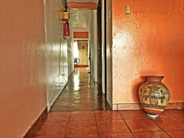 Imagen de los interiores del Hostel Trotamundos, Alajuela ciudad. Foto 36