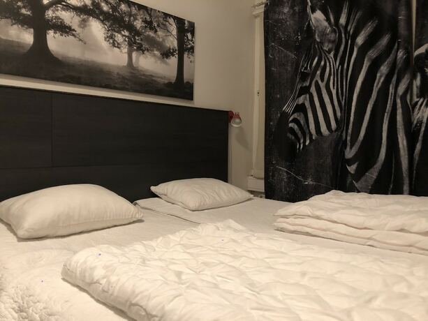 Imagen general del Hostel Uppsala City. Foto 3