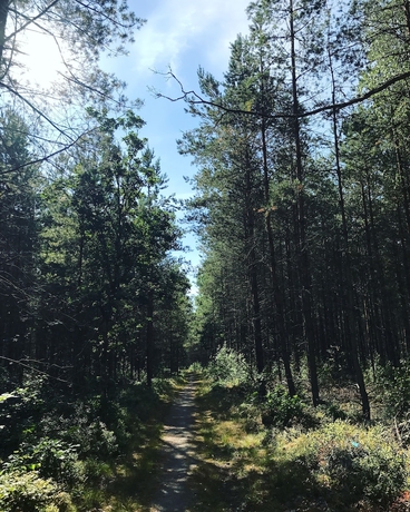 Imagen general del Hostel Vall&aring;sens V&auml;rdshus. Foto 4