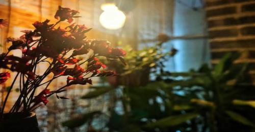 Imagen de la habitación del Hostel Waiting For You In Guilin Youth. Foto 8