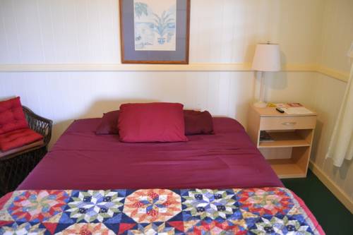 Imagen de la habitación del Hostel Wild Ginger Inn &. Foto 10