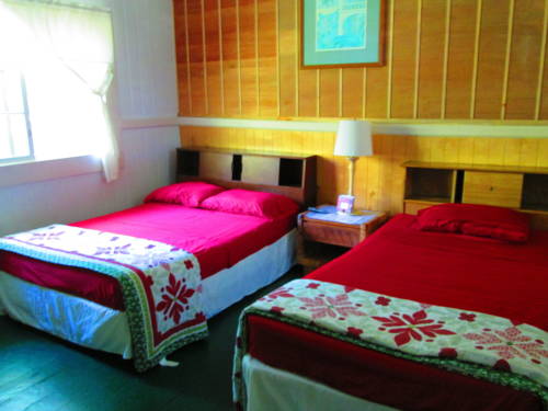 Imagen de la habitación del Hostel Wild Ginger Inn &. Foto 12