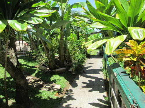 Imagen de la habitación del Hostel Wild Ginger Inn &. Foto 16