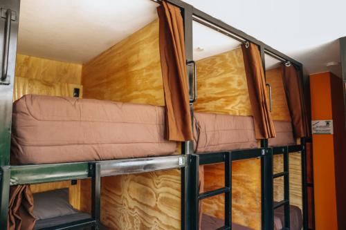 Imagen general del Hostel Wild Rover Huacachina. Foto 2