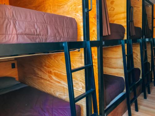 Imagen general del Hostel Wild Rover Huacachina. Foto 3