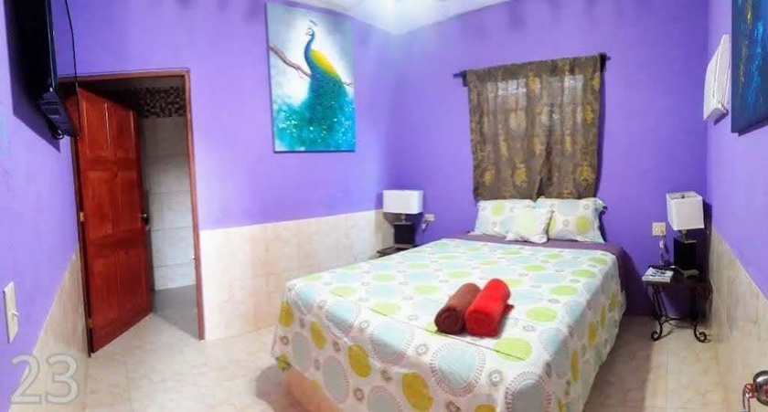 Imagen de la habitación del Hostel Windmill, Valle de Anton. Foto 5