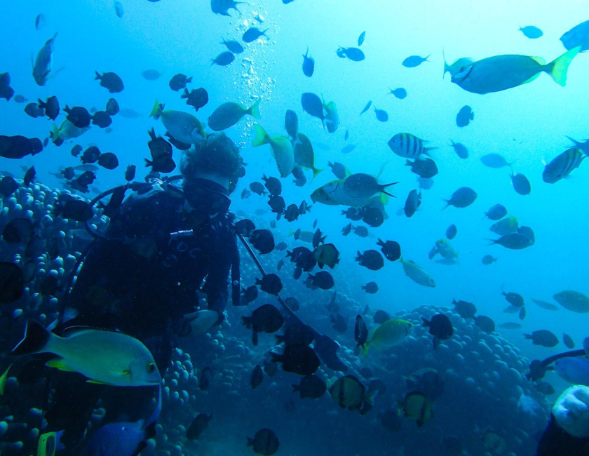 Imagen general del Hostel Wonderocean Dive. Foto 14