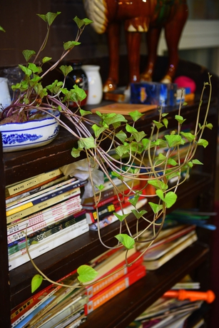 Imagen de los interiores del Hostel Xi'an The Facebook Youth. Foto 13